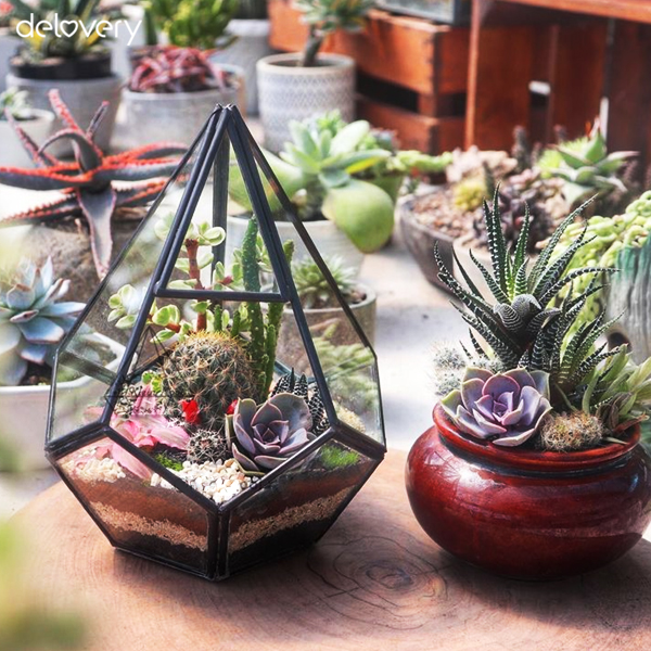terarium kaca