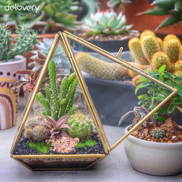 terarium kaca